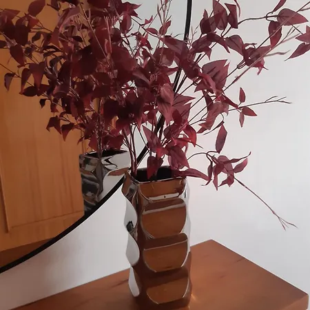 דירה Amorosa Sun And Sea