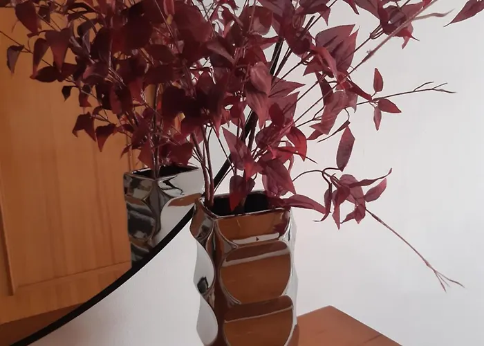 Apartman Amorosa Sun And Sea